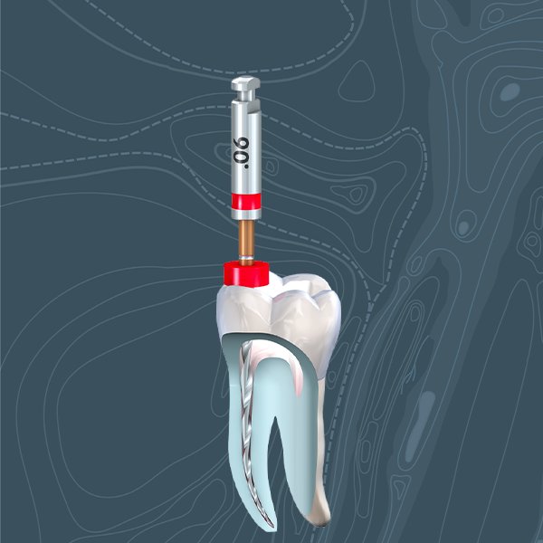 Les Fondamentaux de l’Endodontie Clinique : Accès, Mise en Forme et Obturation  (Théorie et pratique)